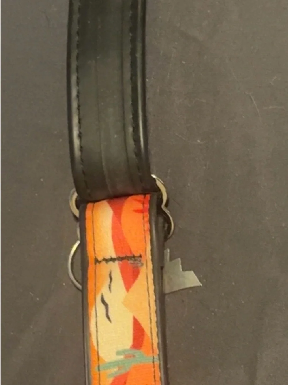 Desert Print Orange Dog Collar with Sturdy Metal Hardware